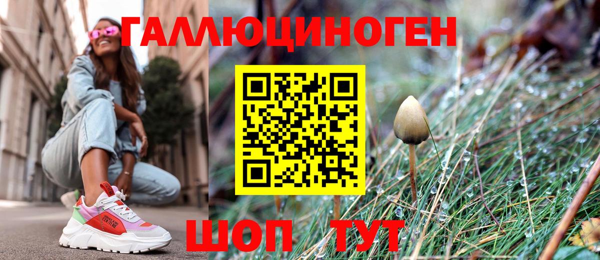 Псилоцибиновые грибы Psilocybe Кыштым